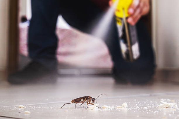 Best Pest Control for Businesses  in Oak Hills, PA